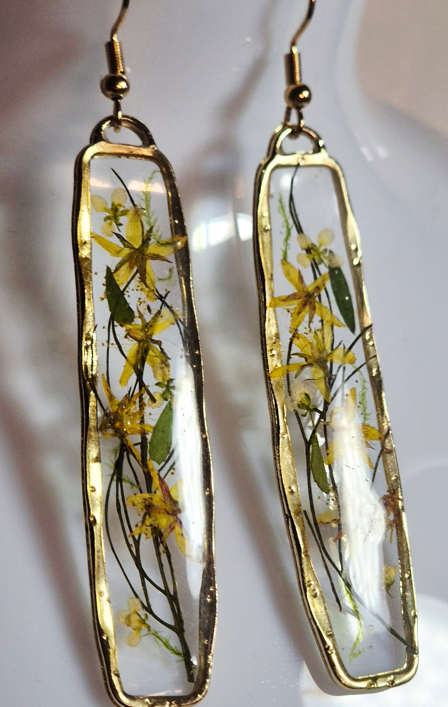 St. John's Wort 1