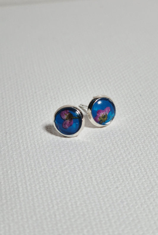 Alyssums Studs 2