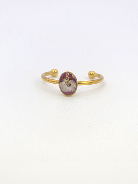 Fáinne Beag 5